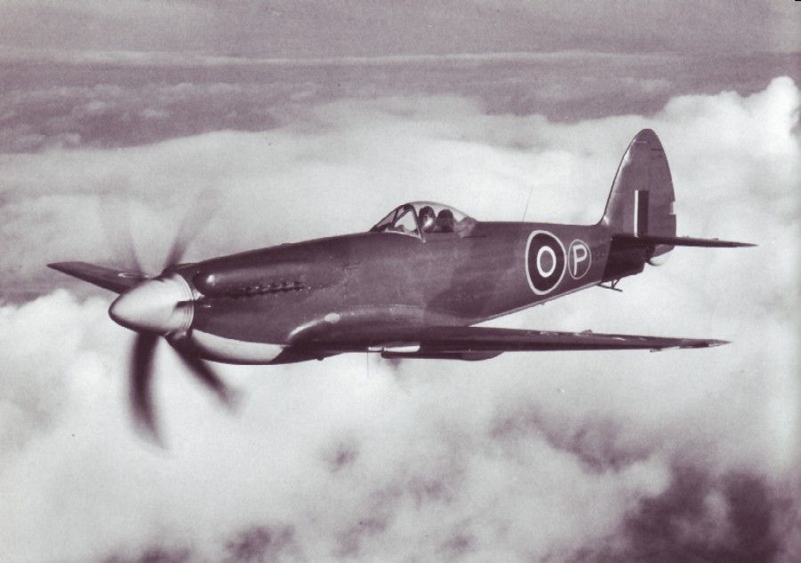 Supermarine Seafang F.31 2