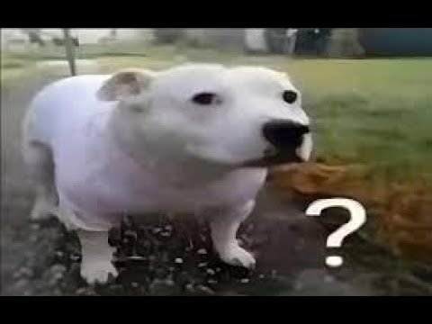 1586694aa6dea73393f201bbecf1e30b