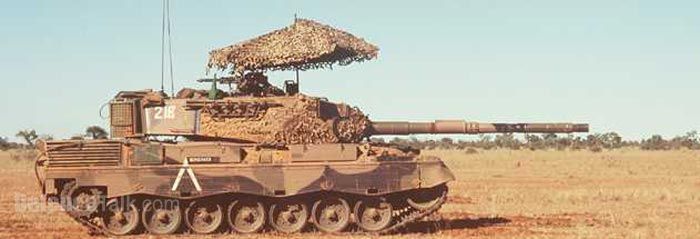 Leopard.07