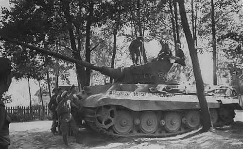 kingtiger2