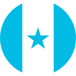 Honduran_Air_Force_insignia.svg