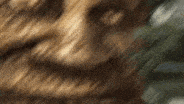 17719521316634189087146411330024