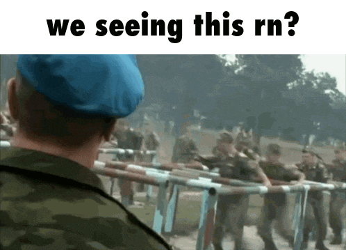 gif-meme