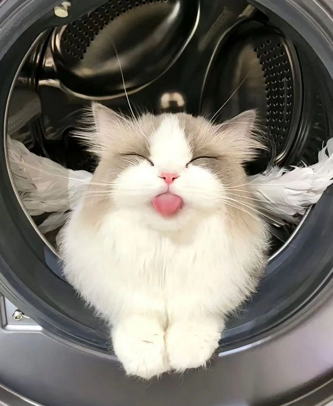 Skärmbild 2026-03-02 145229