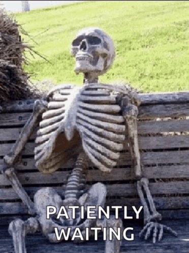 skeleton-waiting-skeleton