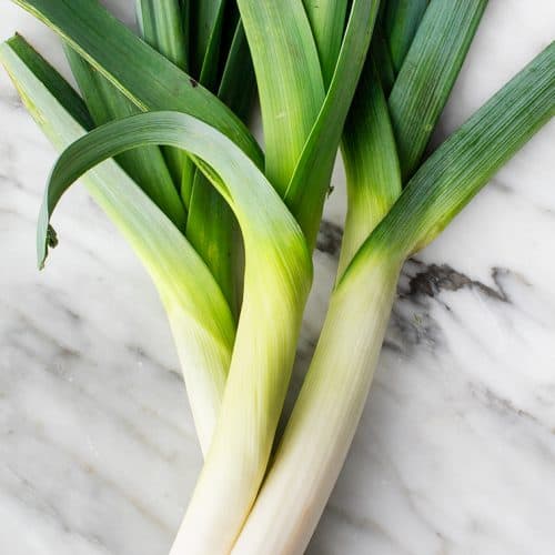 leek-500x500