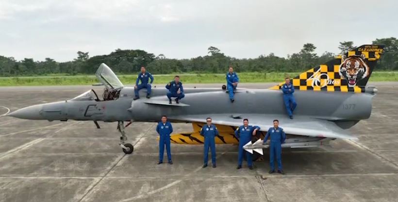 Ecuadorian Atlas Cheetah C FAE-1377