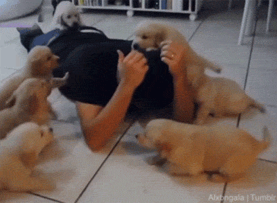 tumblr_nxzflz5XL01qbxi45o2_400