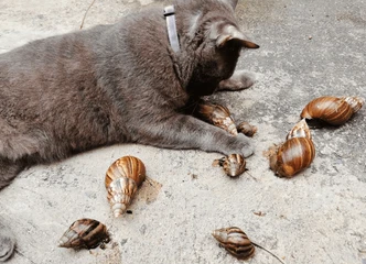 Screenshot 2026-04-02 213504